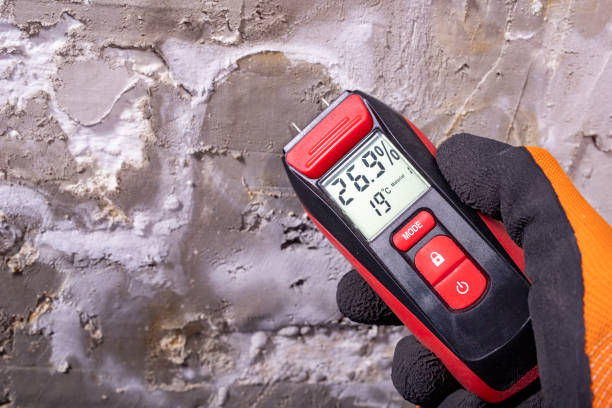 Best Mold Remediation for Specific Building Types in Bethel Island, CA