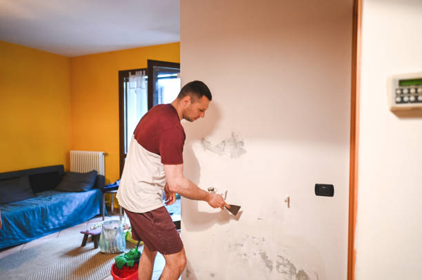 Best Residential Mold Remediation in Bethel Island, CA